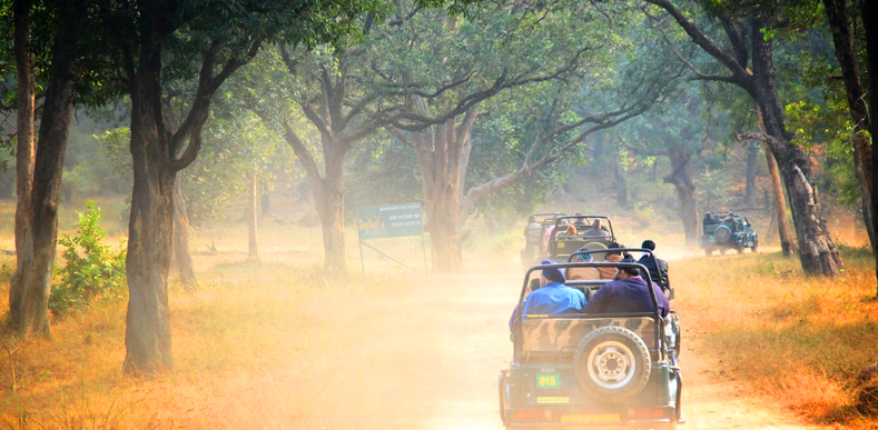 Nainital Mussuurie Jim-Corbett 